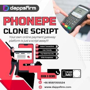 Increase ROI for Your Payment Gateway Startup with a Robust PhonePe Clone Script