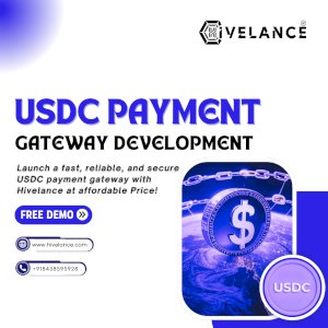 USDC Payment Gateway Development Company