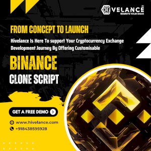 AI-Powered Binance Clone Script Solutions in the USA