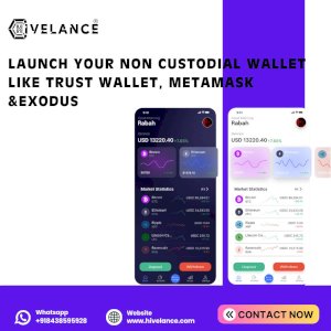 Build Your Non Custodial Crypto Wallet at Low Cost