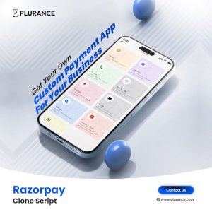 Build a Next-Gen Payment Gateway Using White Label Razorpay Clone Software 