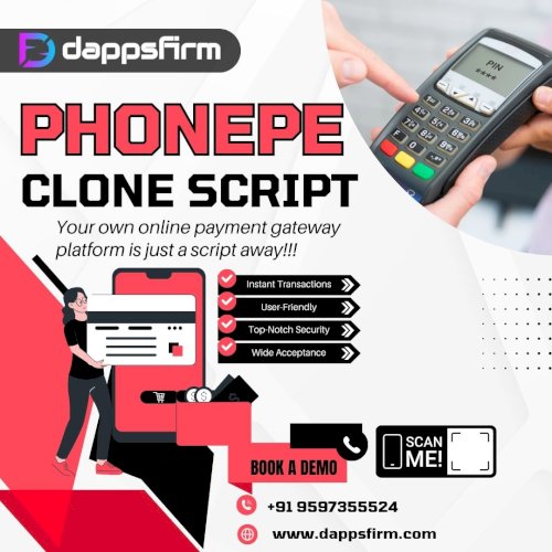 Increase ROI for Your Payment Gateway Startup with a Robust PhonePe Clone Script
