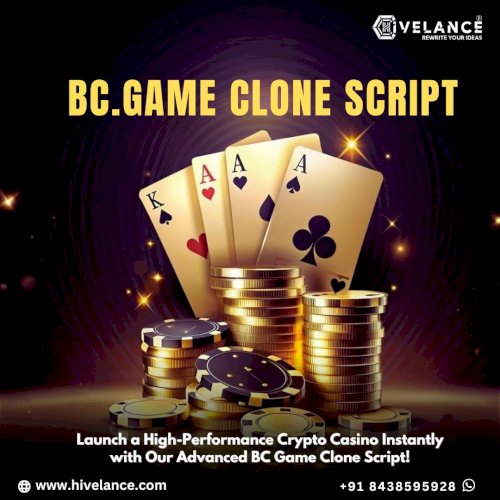 Budget-Friendly BC.Game Clone Solution for iGaming Entrepreneurs